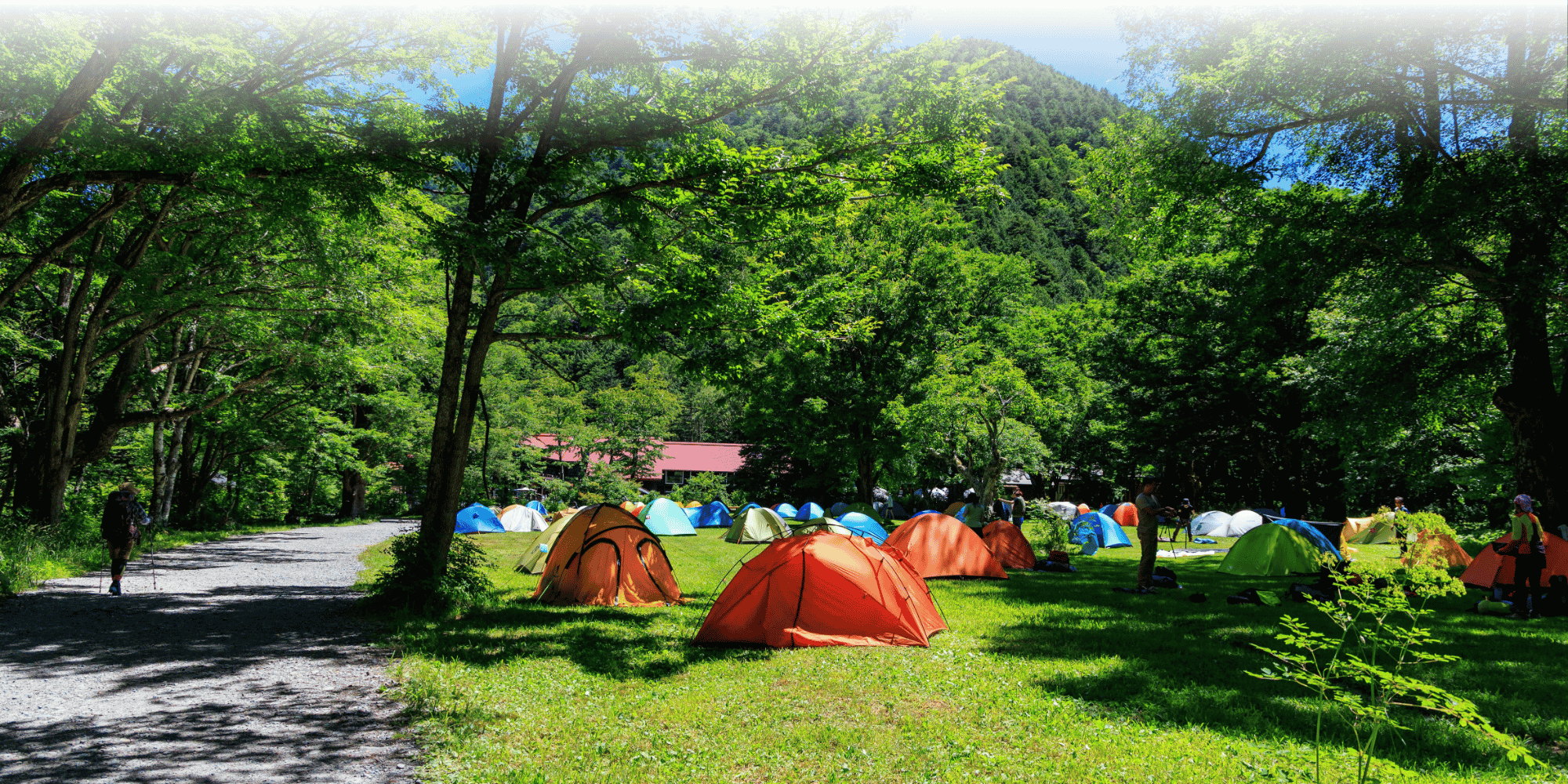 Multicoloured tents in a camping field among the forest