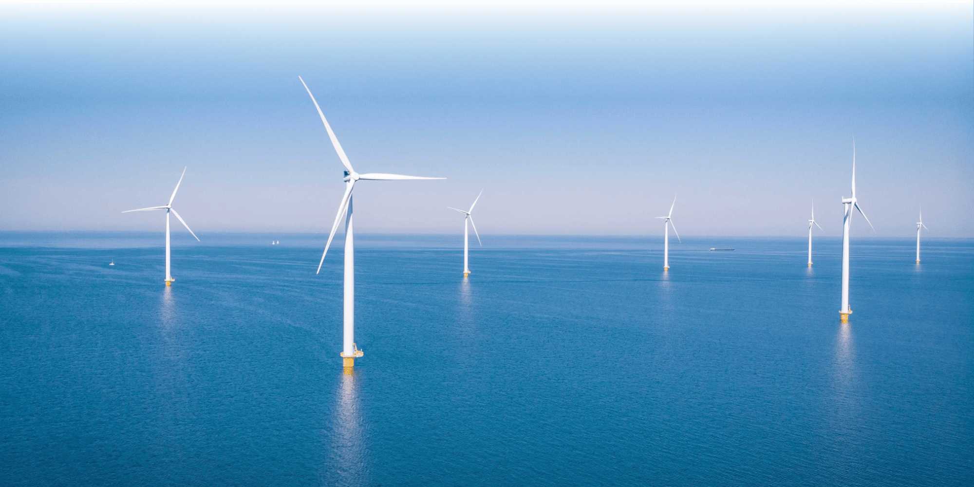 Una fila di turbine eoliche offshore bianche che si ergono su un mare calmo e di un blu intenso, sotto un cielo limpido e azzurro.