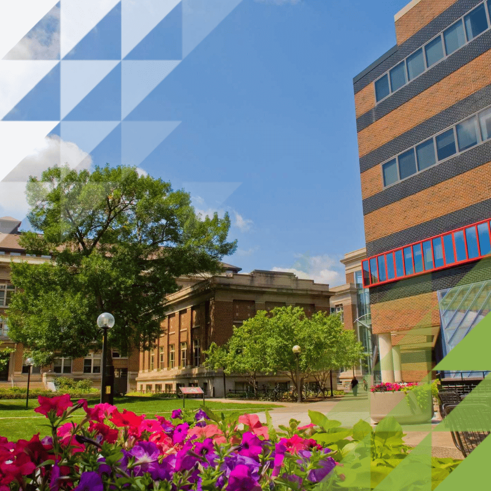 colourful school campus with purple and pink flowers, green grass and historical buildings