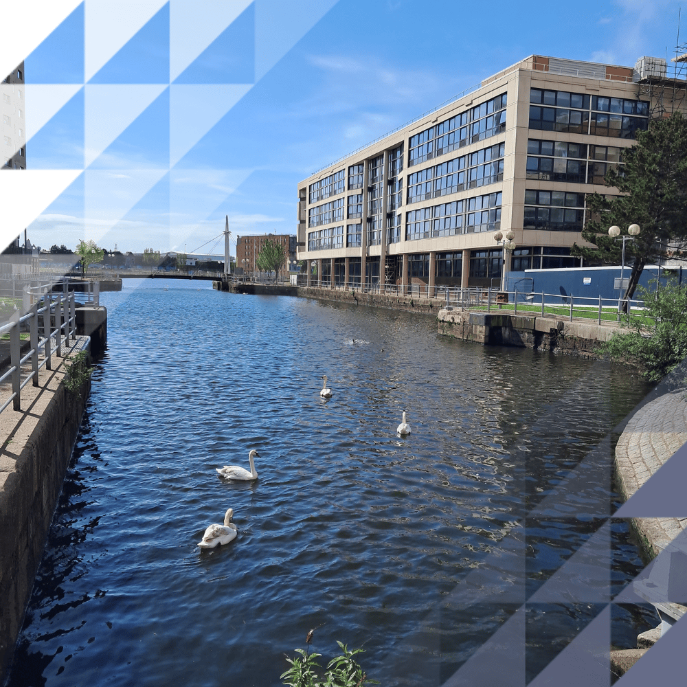 Three white swans swimming on a calm urban river or canal, with a multi-storey modern building lining the far bank, a bridge visible in the distance and blue skies above.
