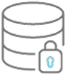 data integrity-icon-blue