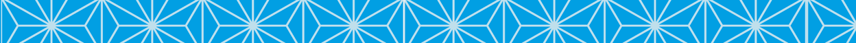 conex-footer (1248 x 64 px) (1)