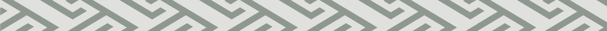 en-suppression-systems-footer (1248 x 64 px)