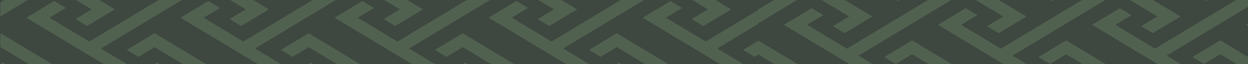 hfp-footer (1248 x 64 px) (1)