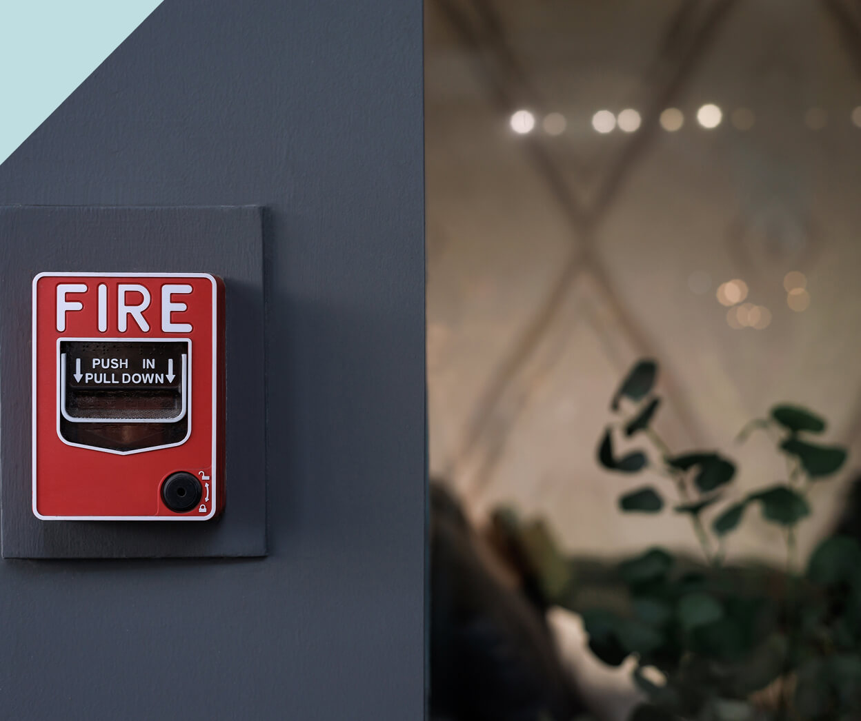 Fire Alarm