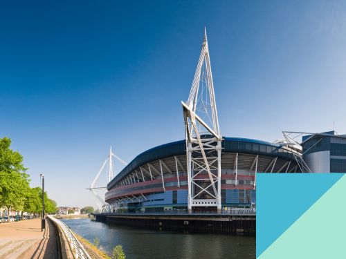 Dragons Heart Hospital